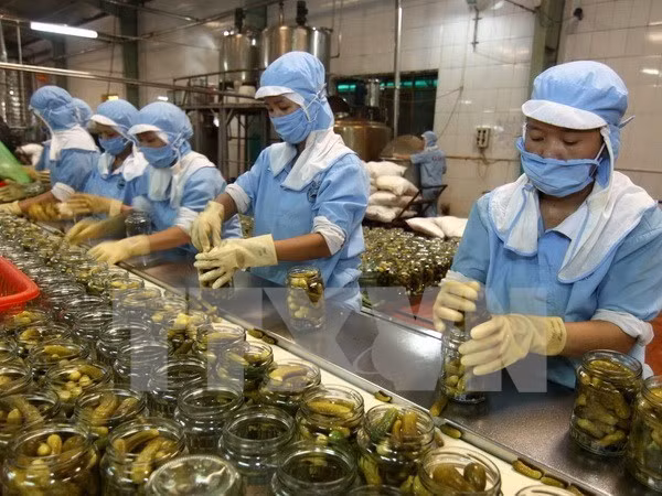 Fruit, vegetables become big foreign currency earner ảnh 1