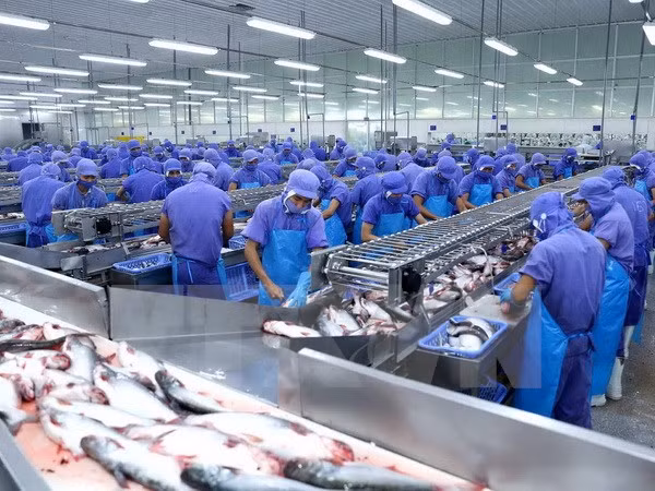 Local firms suggested promoting trade with Middle East ảnh 1