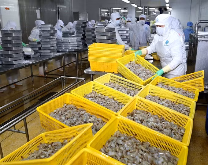 Vietnam’s shrimp industry to become key economic sector ảnh 1 Vietnam’s shrimp industry to become key economic sector ảnh 1