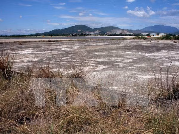 USAID helps with dioxin remediation at Bien Hoa Airport ảnh 1