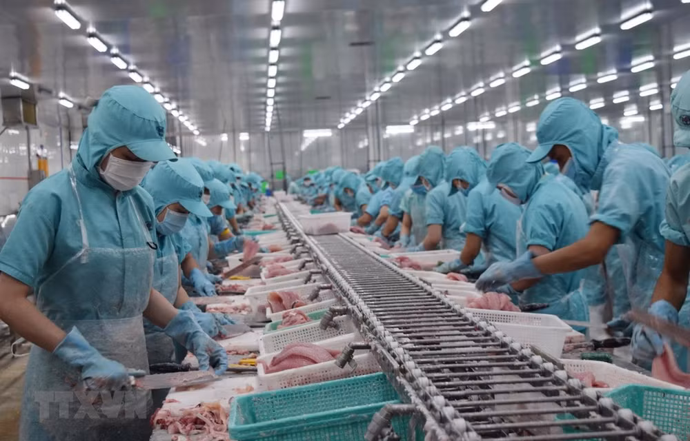 Mekong Delta firms see new orders down 80.7 percent due to COVID-19 ảnh 1 Mekong Delta firms see new orders down 80.7 percent due to COVID-19 ảnh 1