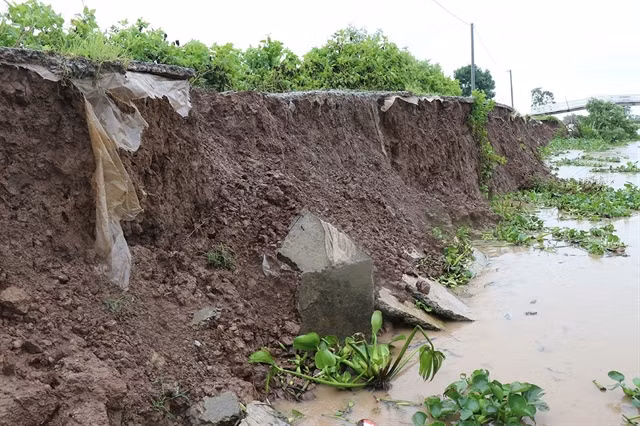 Mekong Delta faces increasing erosion along rivers, canals ảnh 1