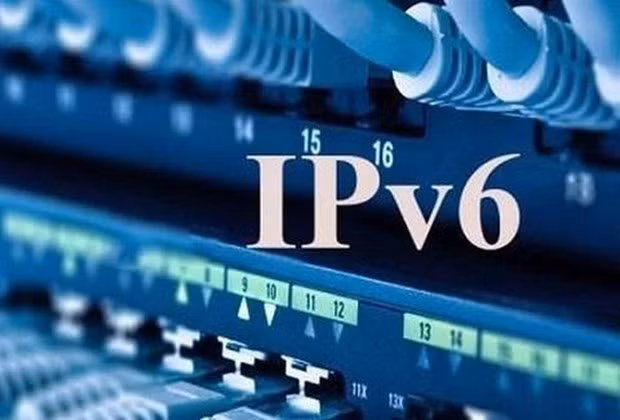 IPv6 training to serve e-government development ảnh 1