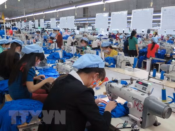Garment firm expects revenue drop as partner's parent goes bankrupt ảnh 1