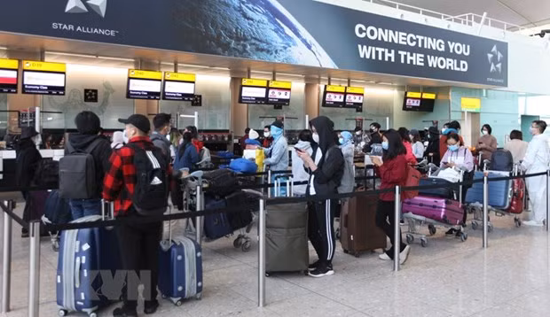 Over 340 Vietnamese citizens repatriated from UK ảnh 1