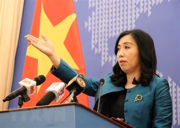 Vietnam carefully prepares for non-permanent seat at UNSC: Spokeswoman ảnh 1