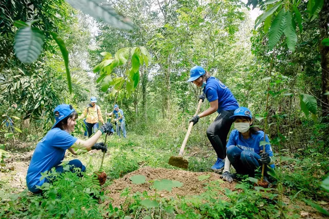 Dong Nai: Forest planting improves habitats of elephants ảnh 1