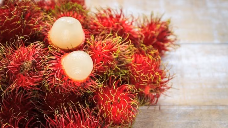 German firm develops bioactives for cosmetics from Vietnam’s rambutan ảnh 1