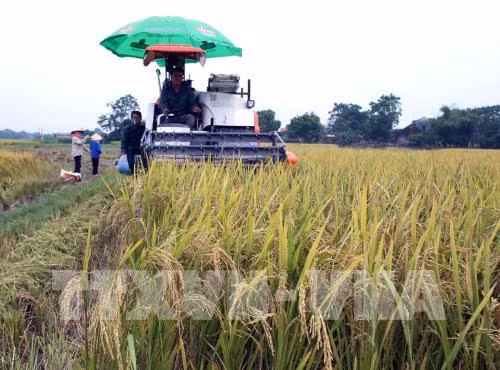 Bac Giang accelerates pace of new-style rural area building programme ảnh 1