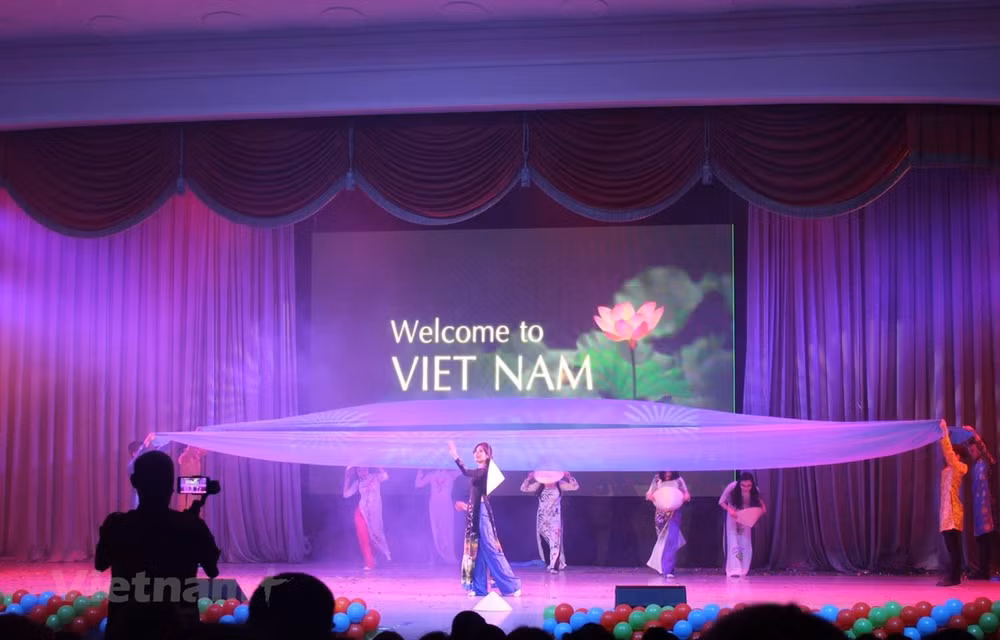Vietnamese woman shines at beauty contest in Russia ảnh 1