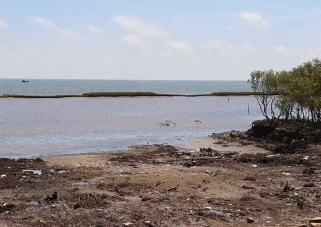 Tien Giang plans to repair geotube sea dyke ảnh 1