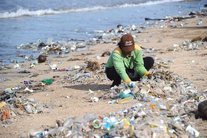 International cooperation needed to protect environment ảnh 1