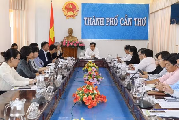 JICA wants to help agricultural cooperation with Can Tho ảnh 1