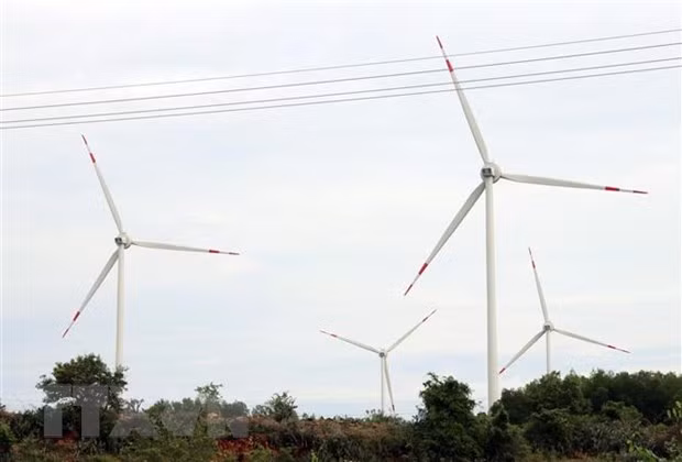 Vietnamese, German firms join hands in developing wind power projects ảnh 1