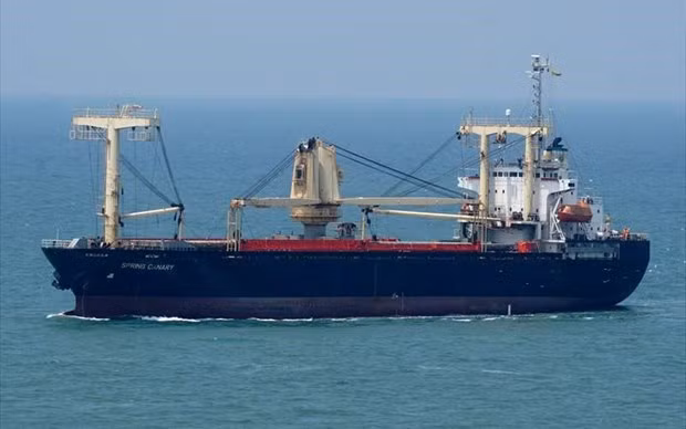 Vietnam coordinates rescue of 18 foreign sailors from sinking boat ảnh 1