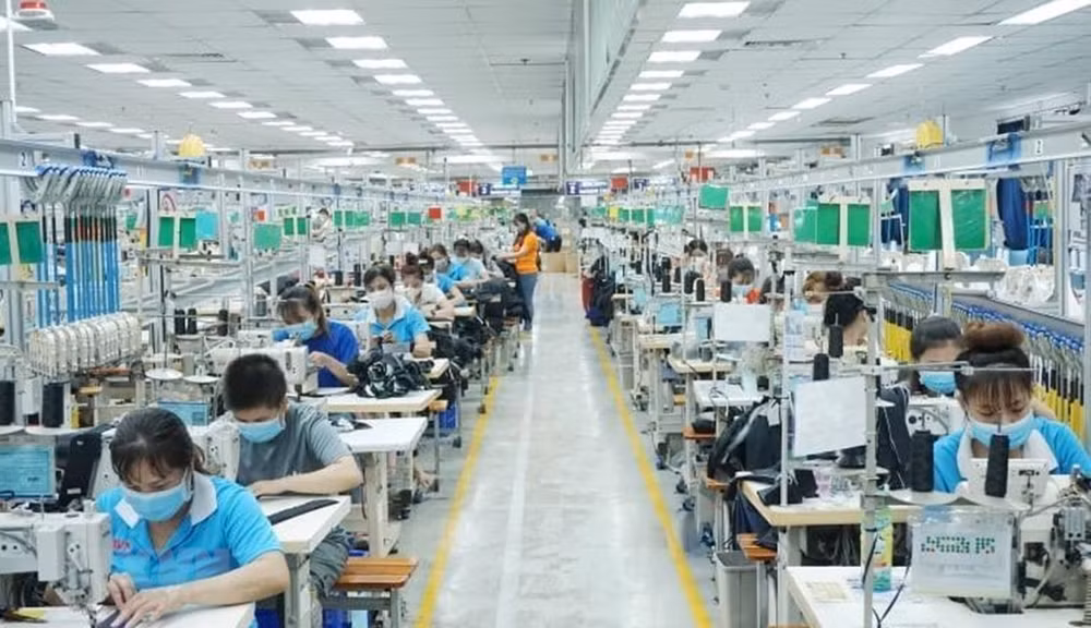 Labour market heats up again following pandemic ảnh 1