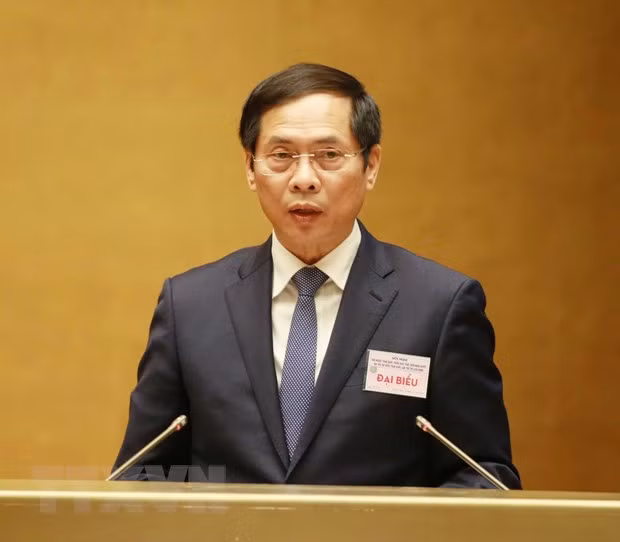 Diplomacy pillars highlighted at national conference on foreign affairs ảnh 3