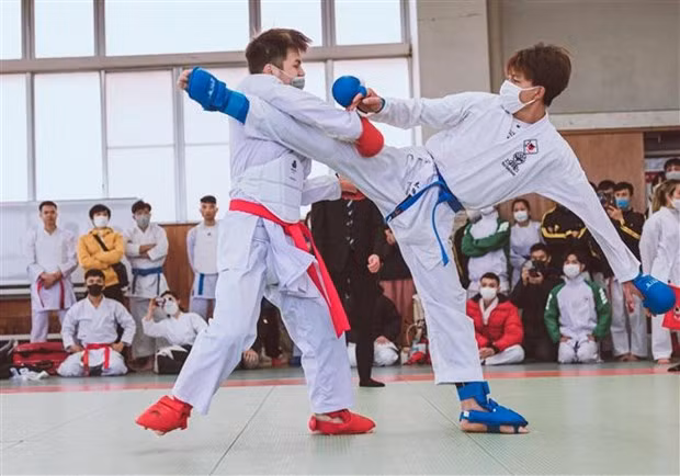 Karate tournament organised for Vietnamese expats in Japan ảnh 1