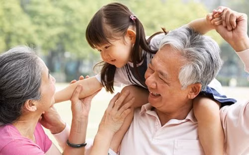 Vietnam pays attention to the elderly issues ảnh 1