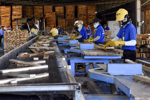 COVID-19 production suspension hampering timber exports ảnh 1