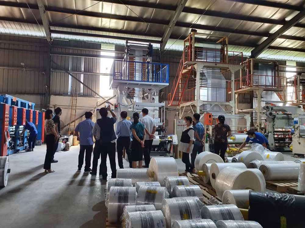 Vinh Phuc supports industrial production facilities improve productivity, products’ quality ảnh 1