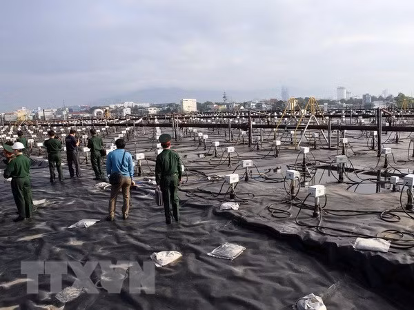 Agent Orange, a war legacy affecting generations: UNDP Resident Representative in Vietnam ảnh 2