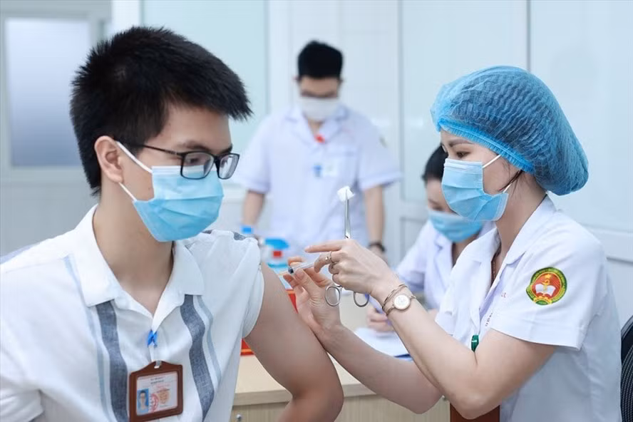 Vietnam consults experts on developing homegrown COVID-19 vaccines ảnh 2