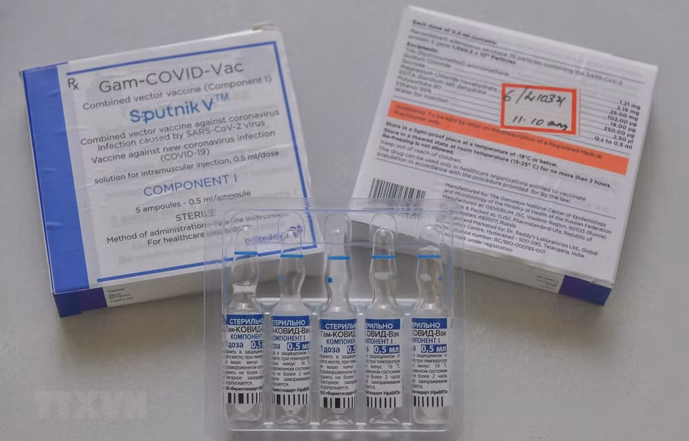 Fundraising campaign in Russia supports COVID-19 fight at home ảnh 2