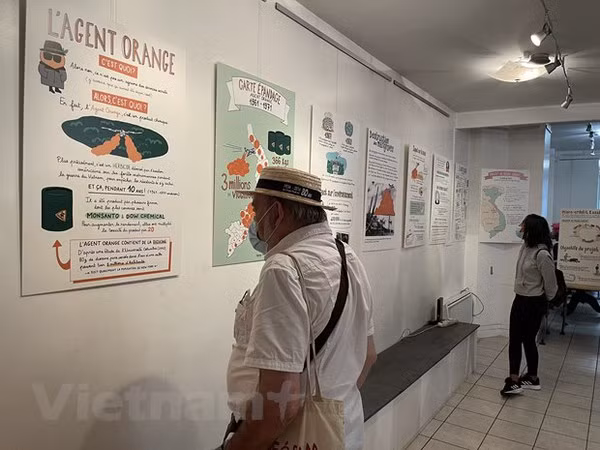Infographics featuring Agent Orange/dioxin disaster in Vietnam exhibited in France ảnh 2