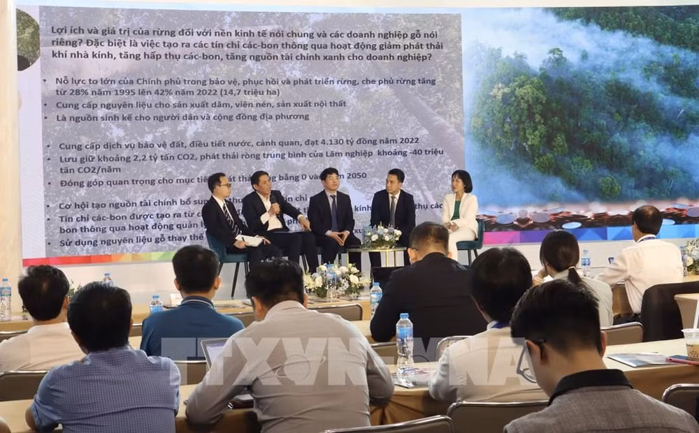 Wood industry has opportunities to increase revenue from carbon credits ảnh 1