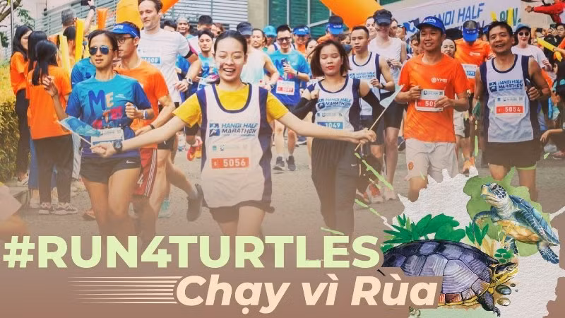 Running event slated for December to protect endangered turtles ảnh 2