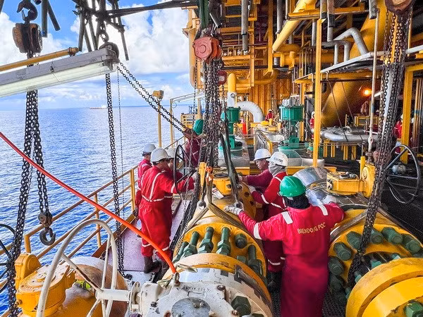 Experts and economists seek ways to ensure fuel security ảnh 1