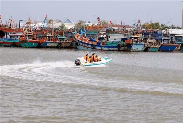 PM orders ensuring resources for IUU fishing combat ảnh 1