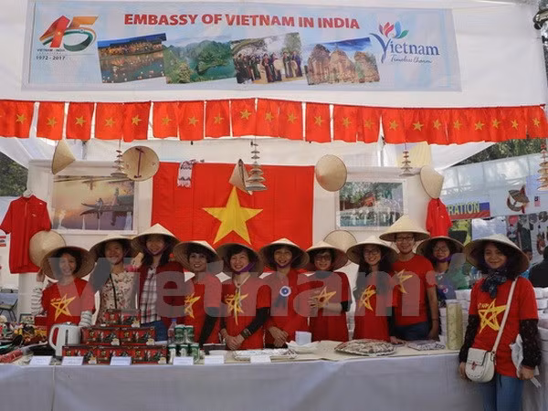 Vietnam joins charity fair in Indian ảnh 1