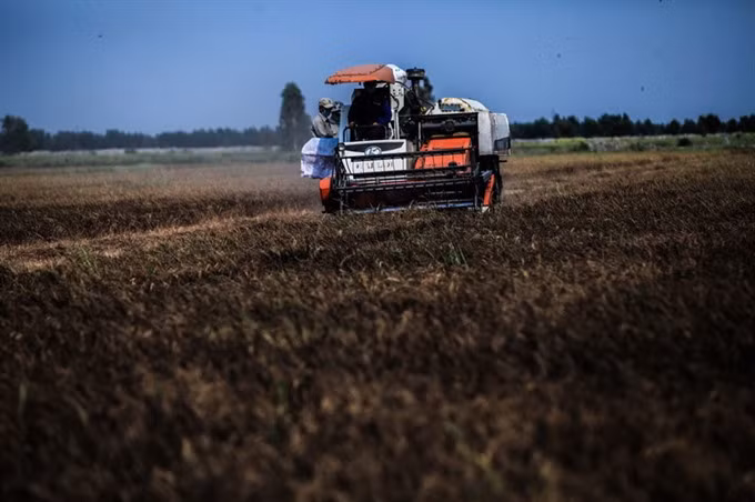 Mekong Delta prepares for tougher drought ảnh 1