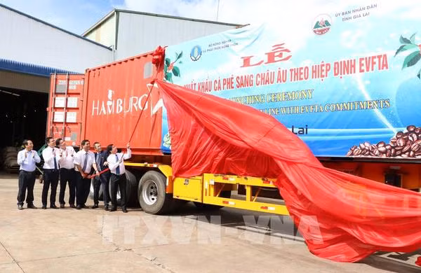 Vietnam to overcome difficulties in 2021 through solidarity: MoIT leader ảnh 2