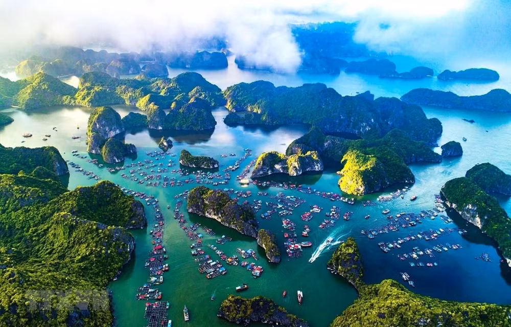 Blue economy – an important strategy in Vietnam’s development ảnh 1