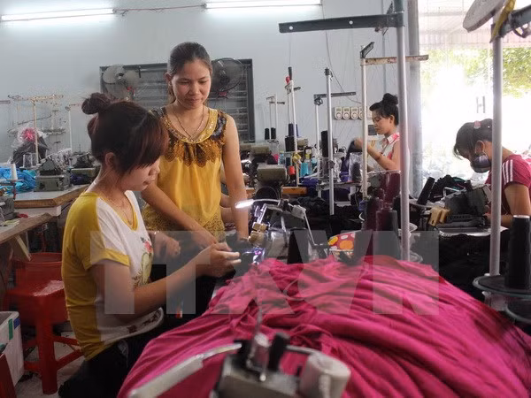 ILO report: Most Vietnamese wage earners are young ảnh 1