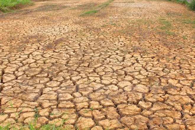 Extreme weather still to come: experts ảnh 1