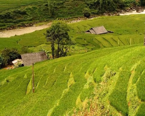 Vietnam’s official online travel mart opens ảnh 1