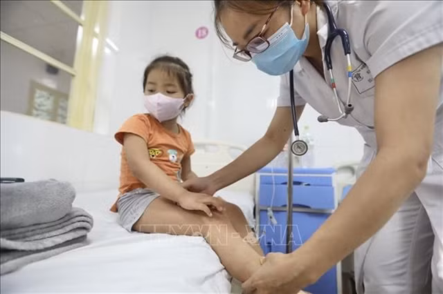 Vietnam detects no mystery hepatitis, urged to monitor disease ảnh 1