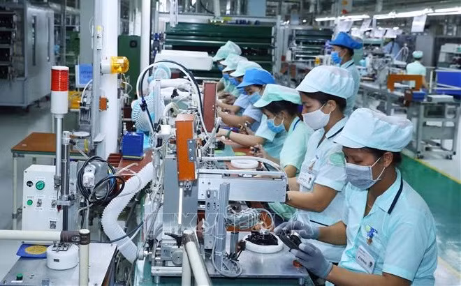Innovation key to enhancing businesses’ productivity ảnh 1