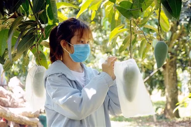 UK attaches importance to agriculture cooperation with Vietnam ảnh 1