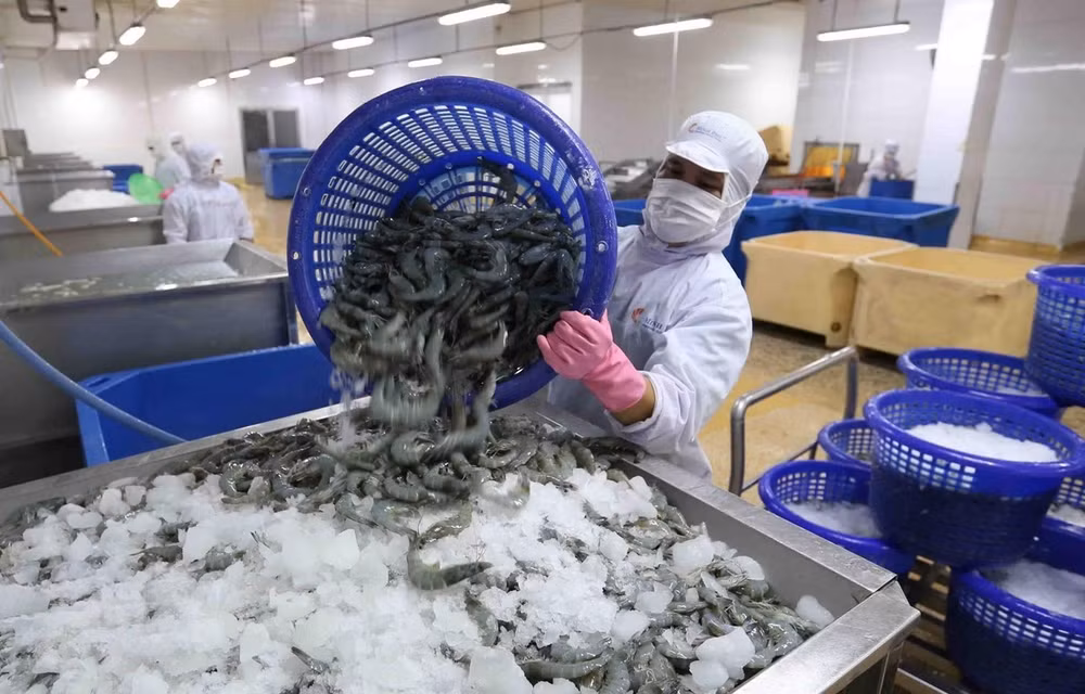 US’s removal of anti-dumping duties on Minh Phu frozen shrimp a fair decision: MoIT ảnh 1
