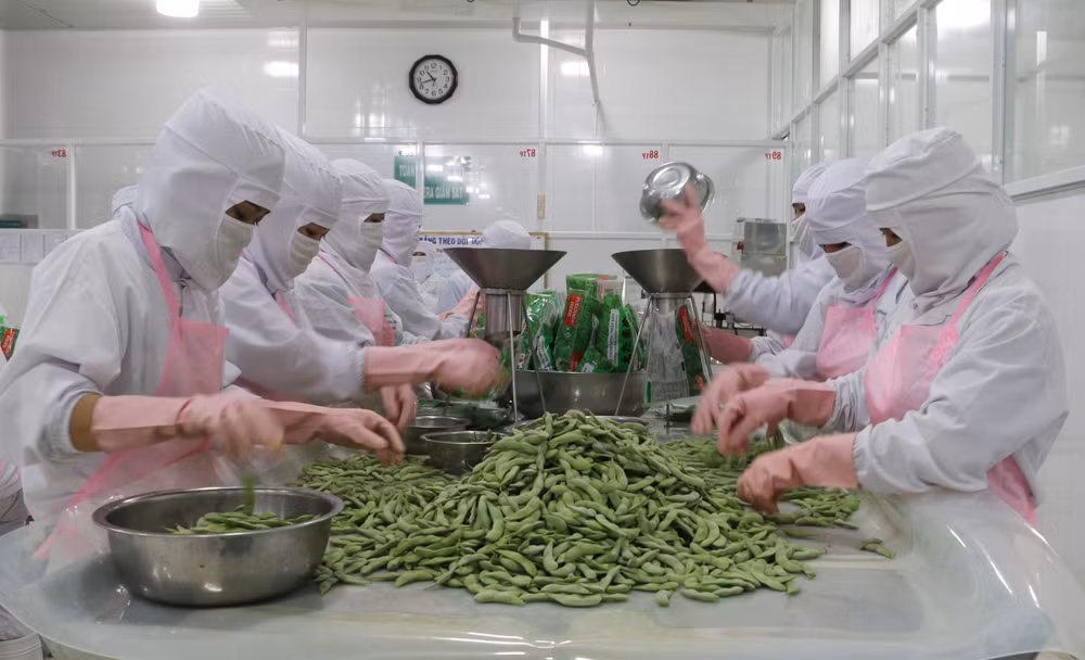 Agriculture minister views export target of 44 bln USD as feasible ảnh 1