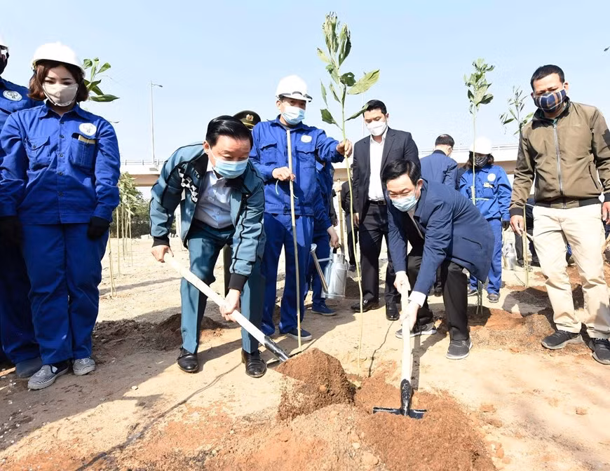 Hanoi launches tree-planting festival on New Year of Bufallo ảnh 3