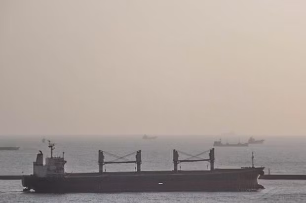 Foreign sailors anchored at Vung Tau test positive for coronavirus ảnh 1