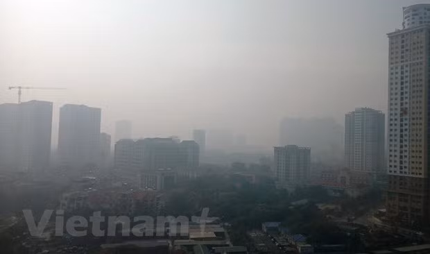  GEF-funded project proves effective ảnh 1