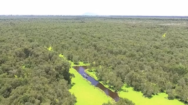 An Giang approves eco-tourism project in cajuput forest ảnh 1