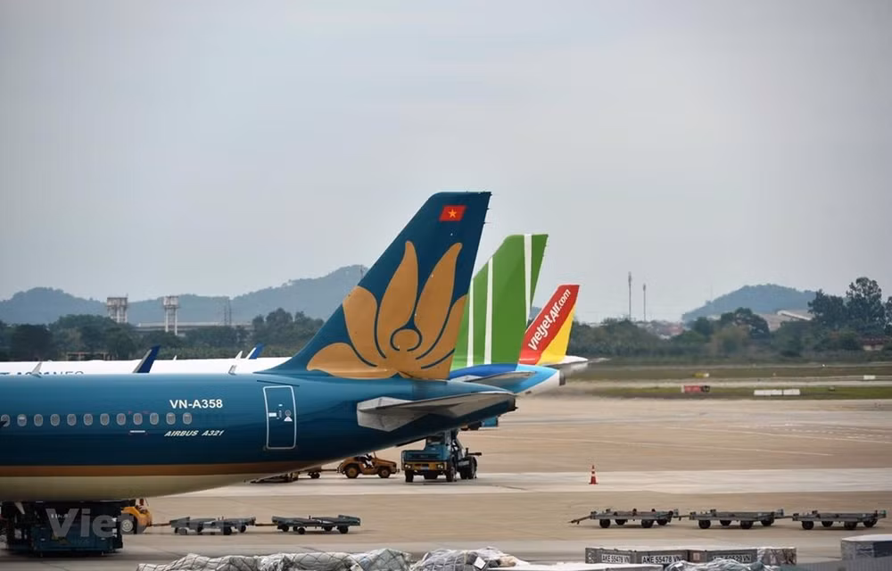 Resuming international flights a necessary move: experts ảnh 1